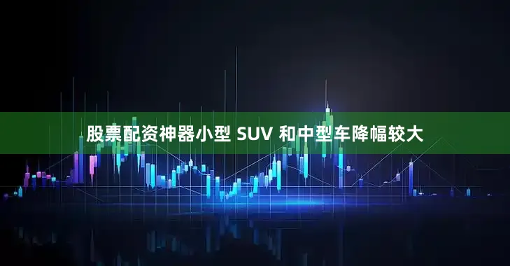 股票配资神器小型 SUV 和中型车降幅较大